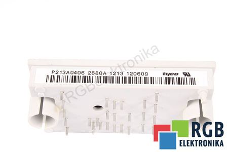 P213A0406 TYCO