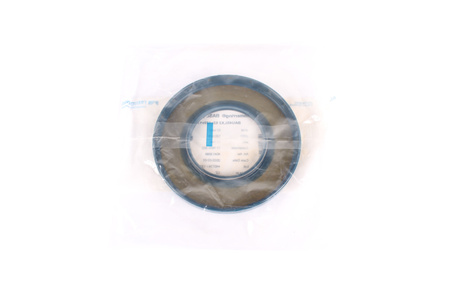 62X120X12 FREUDENBERG BAU4SLX2 72NBR902