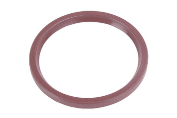 50X58X5 BAUMÜLLER VITON RADIAL BA FKM TĚSNĚNÍ