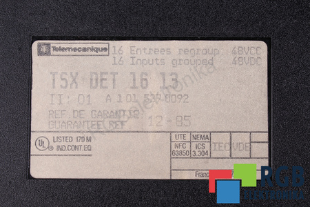 TSXDET1613 TELEMECANIQUE