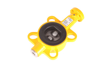 Z011-A EBRO ARMATUREN DN50 MOTÝLKOVÝ VENTIL